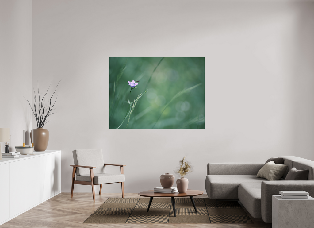 160 x 120 cm, Tirage photo - satiné Petite fleur des champs