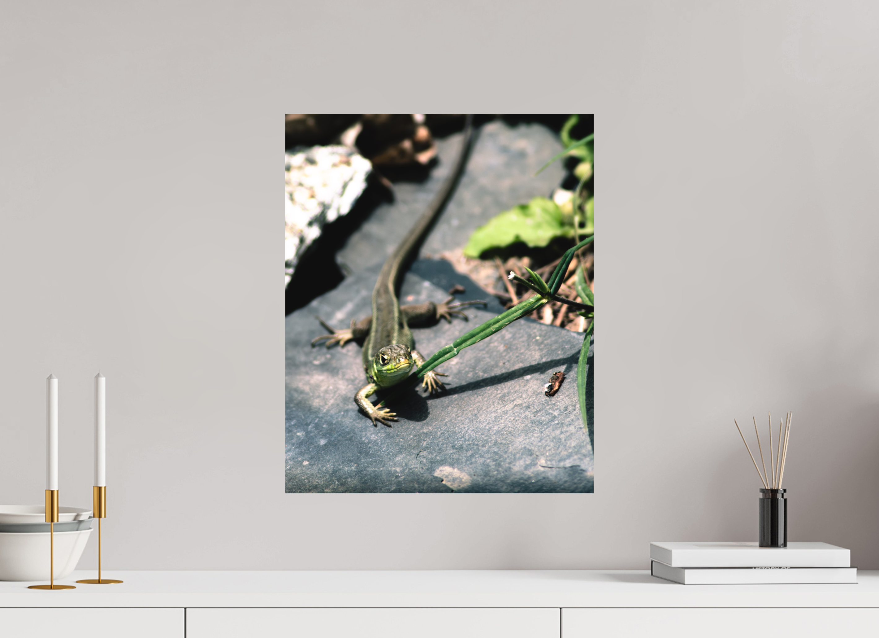 40 x 49,2 cm, Tirage photo - satiné Lezard