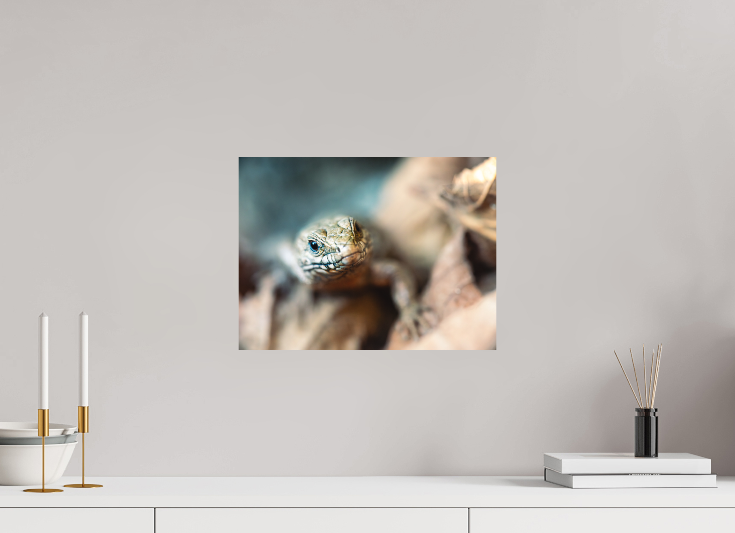 40 x 30 cm, Impression Fine Art - mat Lezard