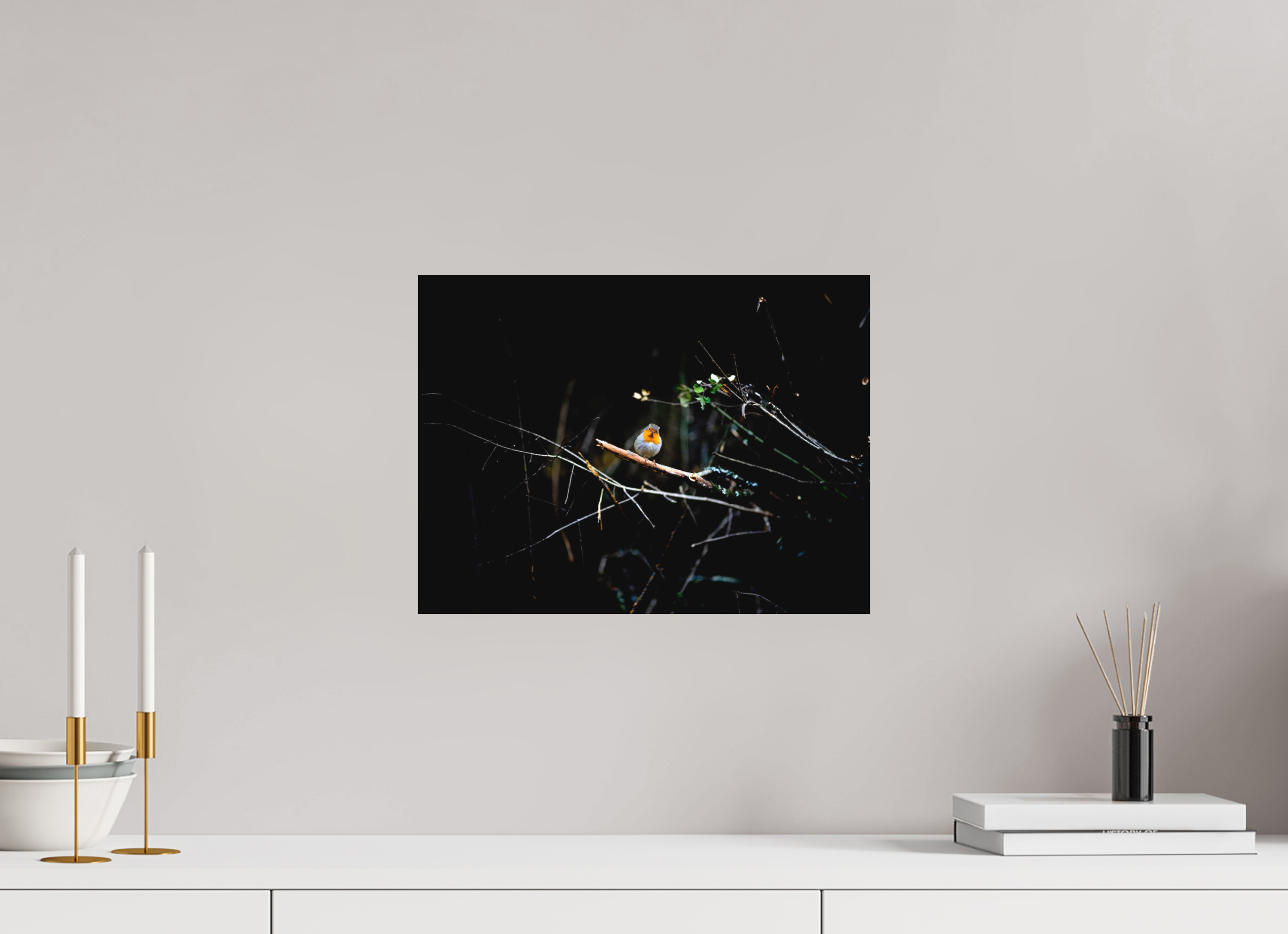 40 x 30 cm, Tirage photo - satiné Rouge gorge