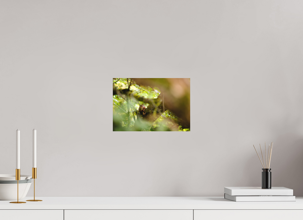 29,1 x 20 cm, Tirage photo - satiné écureuil