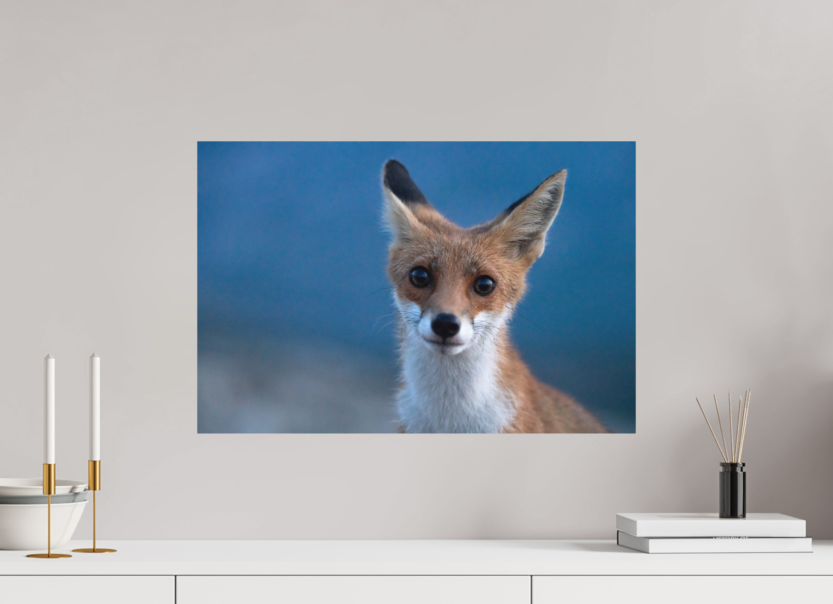 60 x 40 cm, Tirage photo - satiné Bruno le renardeau