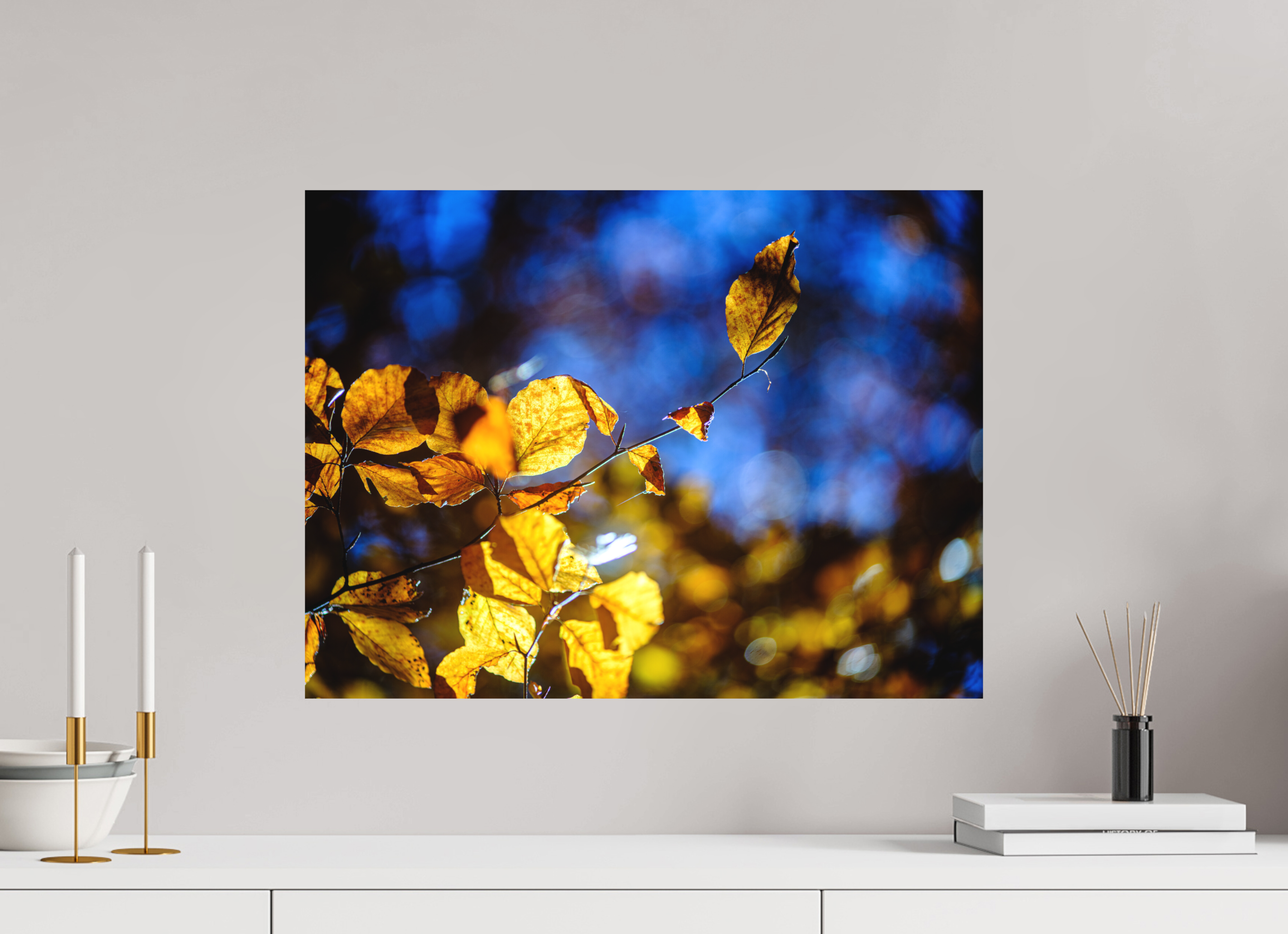 60 x 45 cm, Tirage photo - satiné La folie des couleurs II